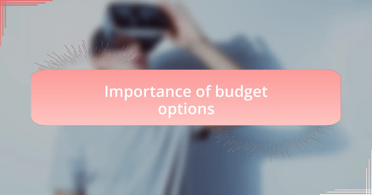 Importance of budget options